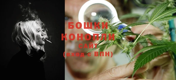 эйфоретик Арсеньев