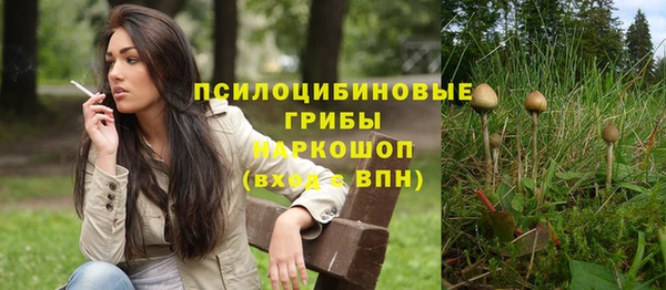 мяу мяу мука Армянск