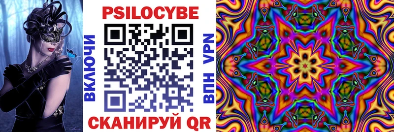 кракен сайт  Киреевск  Псилоцибиновые грибы Psilocybine cubensis 